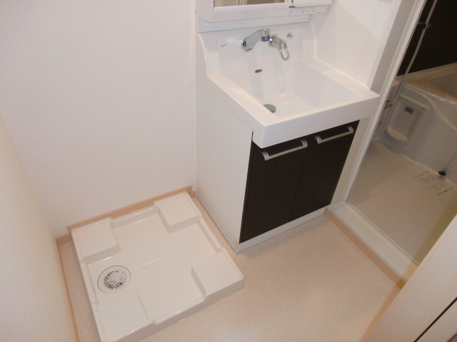 Washroom. Indoor Laundry Storage