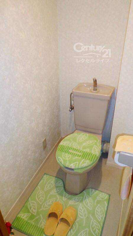 Toilet. Indoor (12 May 2013) Taking