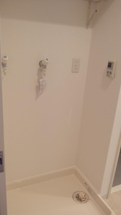 Wash basin, toilet. Laundry Area (with hot water up function)