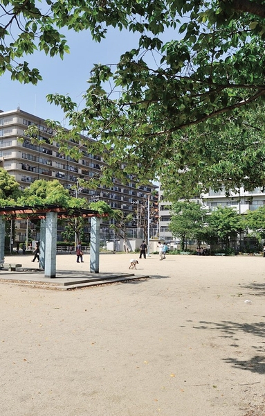Chifune park (a 1-minute walk ・ About 10m)