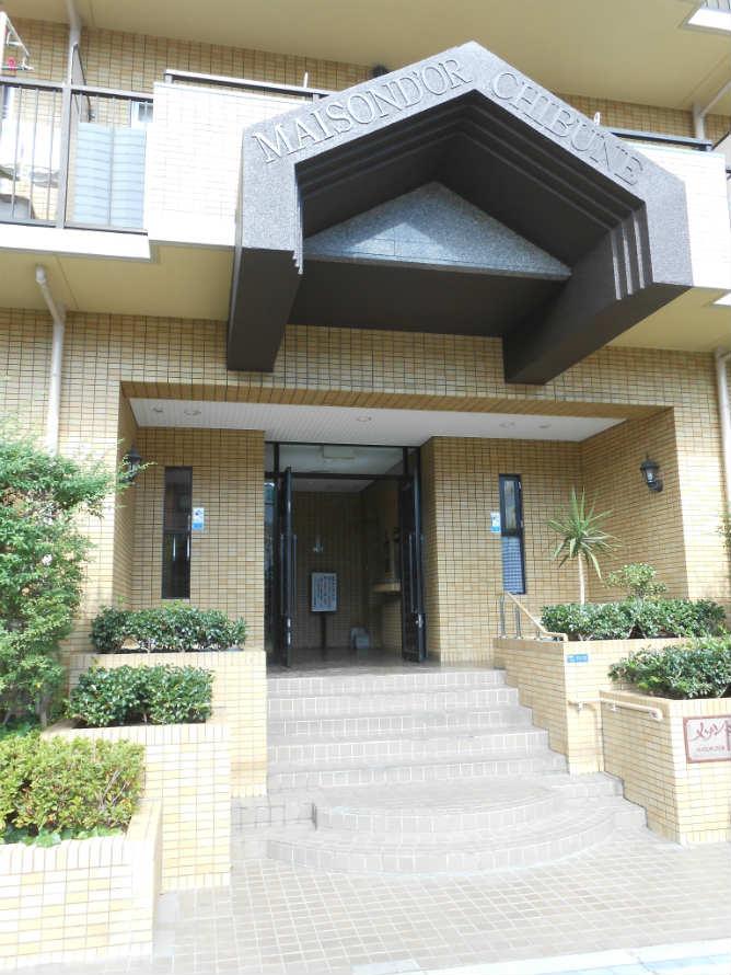 Entrance. Common areas