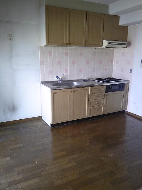 Kitchen. Indoor (April 2012) shooting