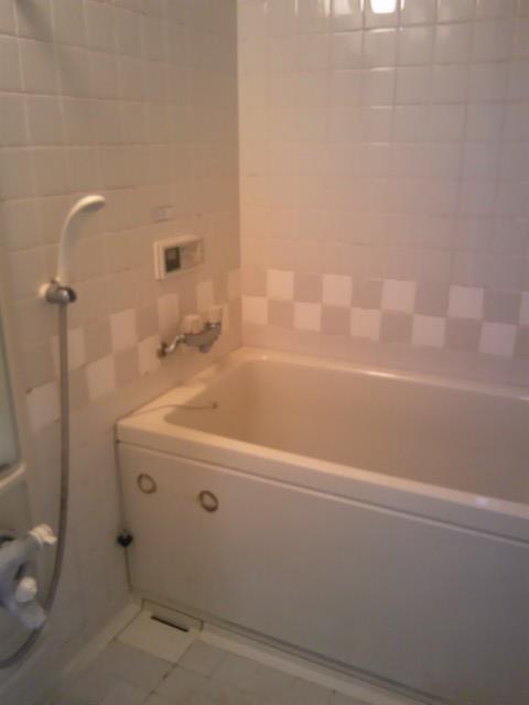 Bathroom. Indoor (April 2012) shooting