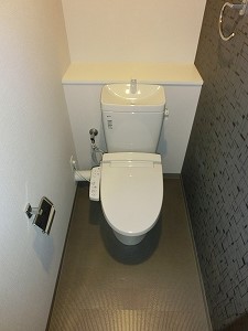 Toilet. It is of a restroom luxury (^^