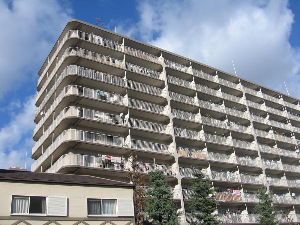 Local appearance photo. Local (12 May 2013) Shooting