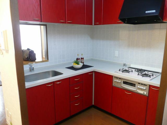 Kitchen. L-shaped kitchen
