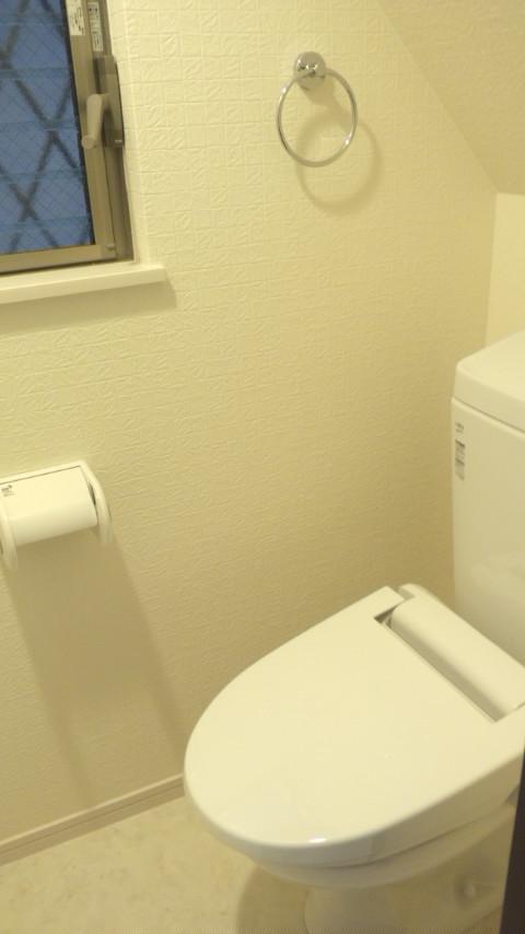 Toilet. First floor toilet