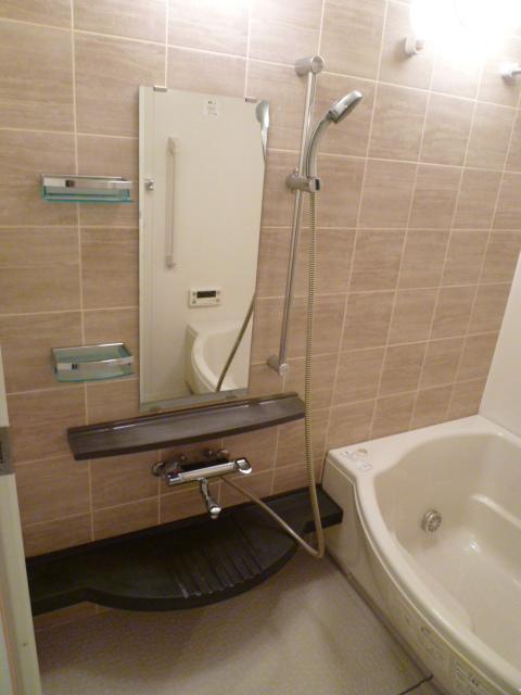 Bathroom. Indoor (14 May 2013) Shooting