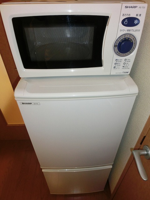 Other Equipment. Also comes with a refrigerator and a microwave oven