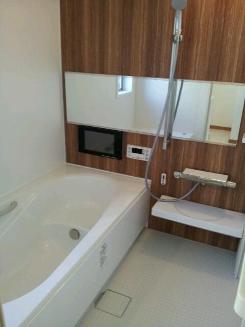 Bathroom. 14-inch with digital TV