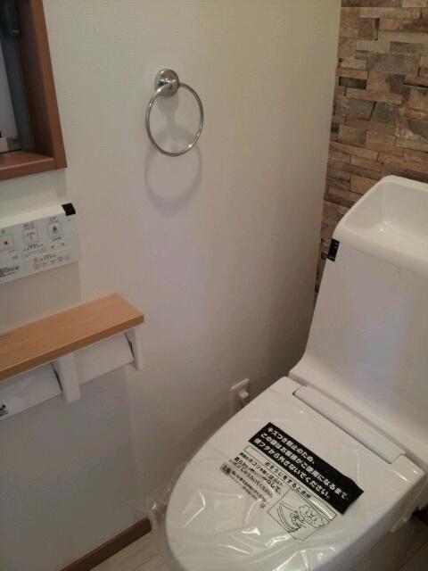 Other introspection. A clean toilet