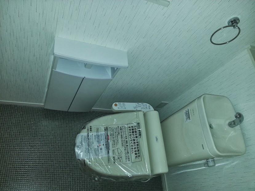 Toilet. Indoor (09 May 2013) Shooting