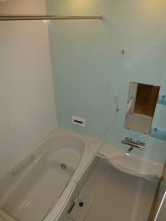 Bathroom. Indoor (February 2013) Shooting