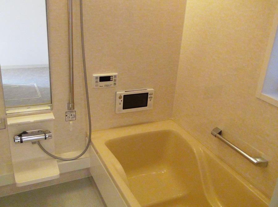 Bathroom. 2013 December shooting