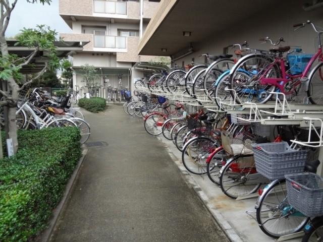 Parking lot. Bicycle-parking space