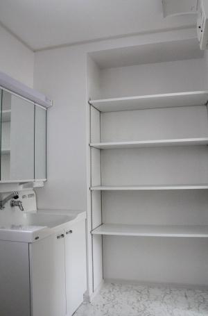 Wash basin, toilet. (The company construction cases)