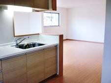 Kitchen. Ease of dishes, System kitchen considering the ease of use