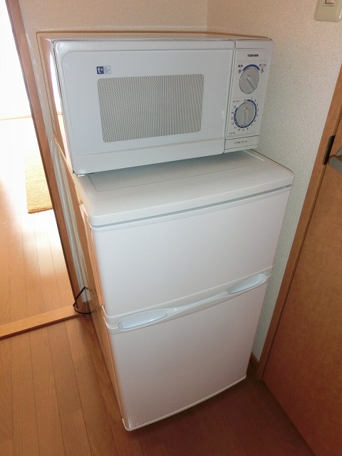 Other Equipment. Also comes with a refrigerator and a microwave oven