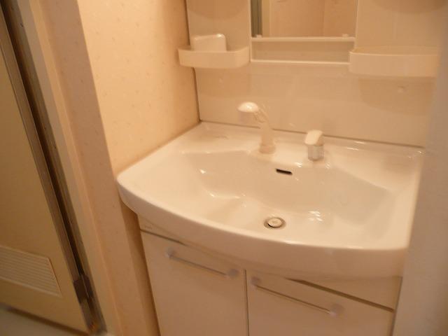 Wash basin, toilet. Clean shampoo dresser