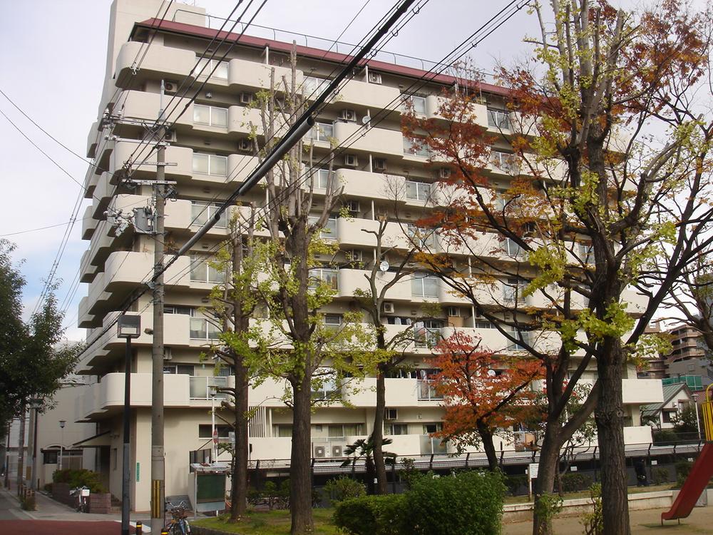 Local appearance photo. Local (12 May 2013) Shooting It will be local appearance photo.