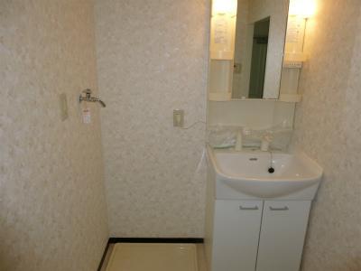 Wash basin, toilet. Room (August 2013) Shooting