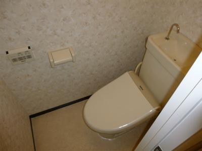 Toilet. Room (August 2013) Shooting