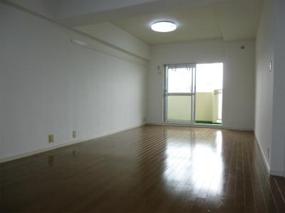 Living. Room (August 2013) Shooting It is very bright in the living room facing south-facing balcony