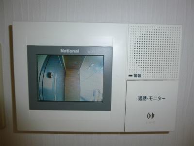 Other. Security is also safe in the TV monitor