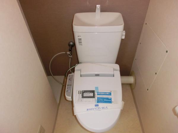 Toilet. Cleaning feature with toilet.