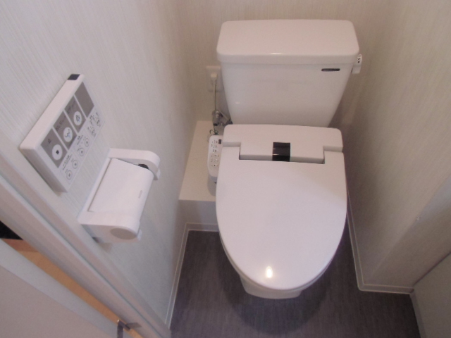 Toilet. Remote-controlled warm water washing toilet seat