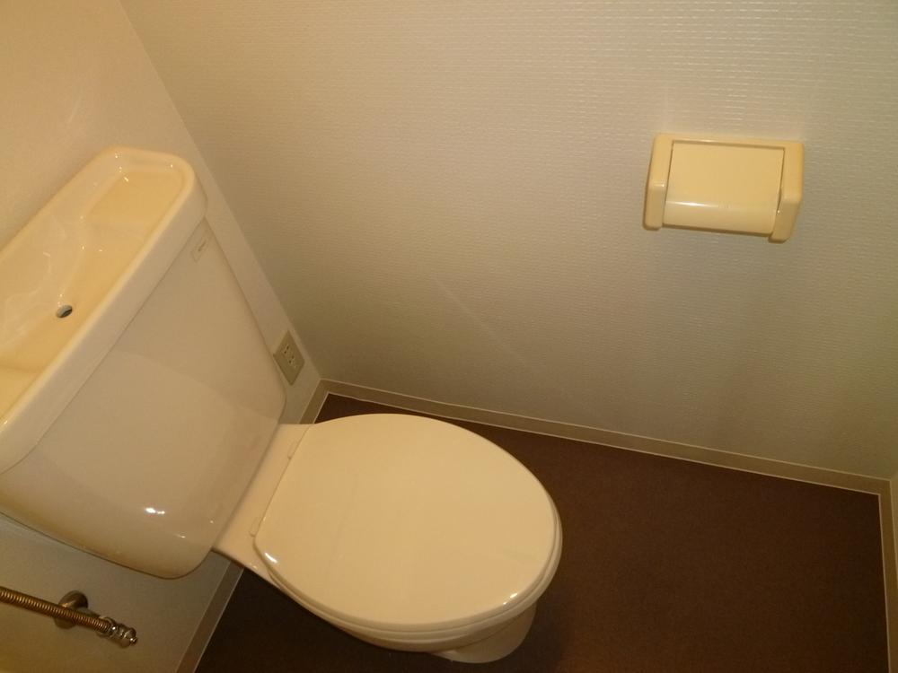 Toilet. Indoor (11 May 2013) Shooting The second floor toilet