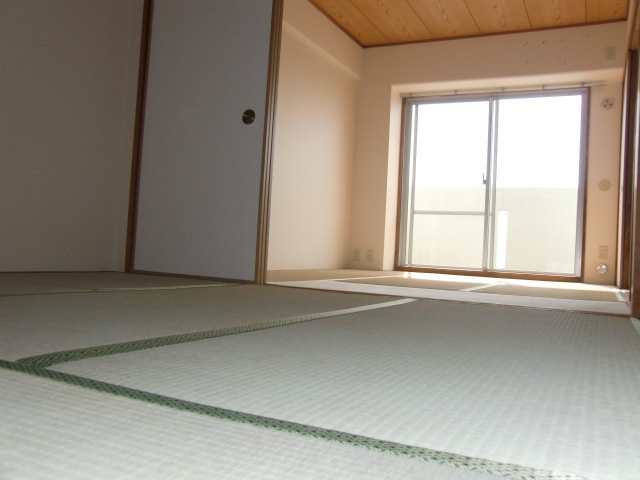 Other room space. Japanese style room