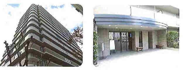 Local appearance photo. Local (10 May 2013) Shooting