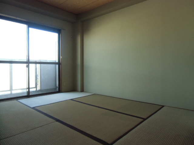 Other room space. Japanese style room