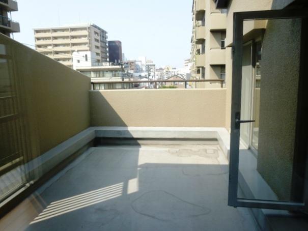 Other common areas. Roof balcony (roof terrace)