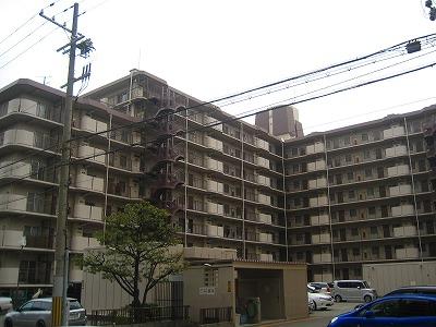 Local appearance photo. Local (10 May 2013) Shooting