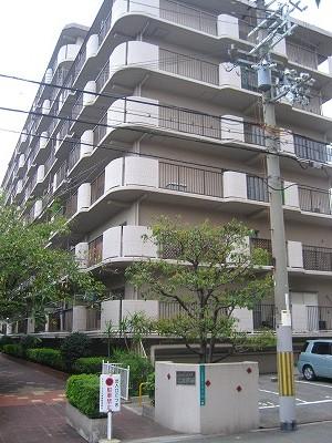 Local appearance photo. Local (10 May 2013) Shooting