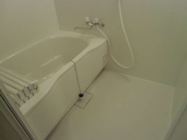 Bath. With bathroom dryer