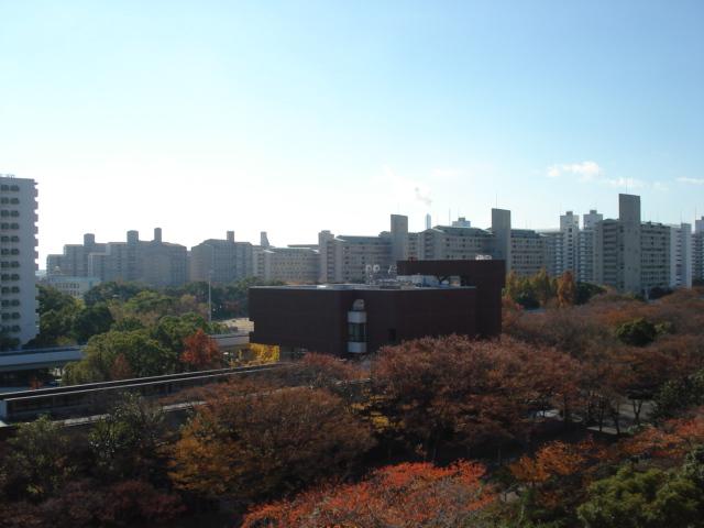 View photos from the dwelling unit