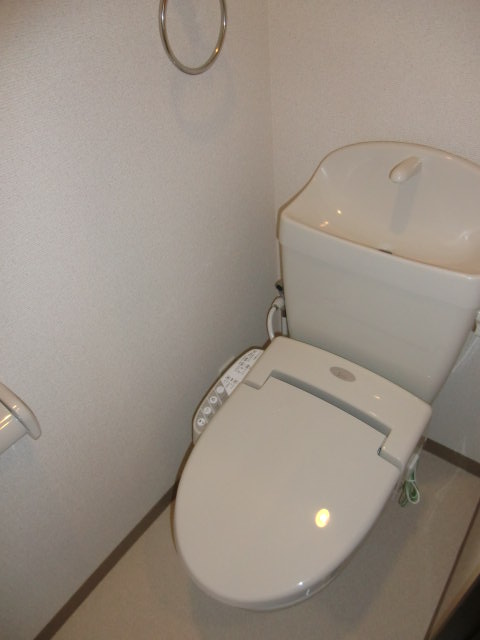 Toilet. Warm water washing toilet seat