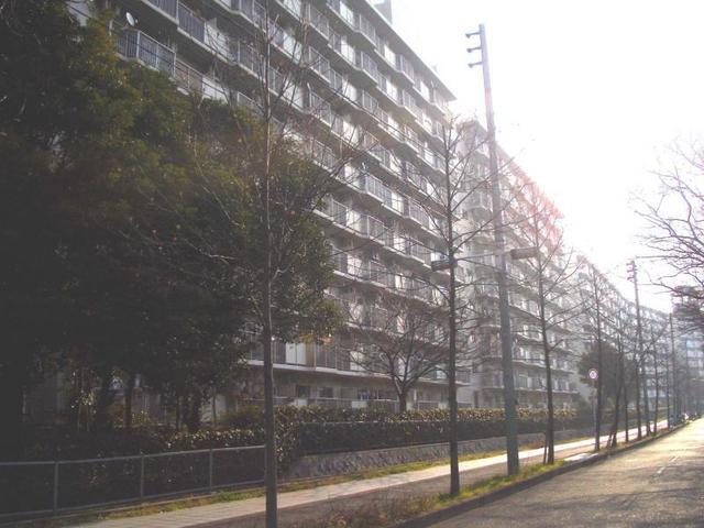 Local appearance photo. Local (10 May 2013) Shooting