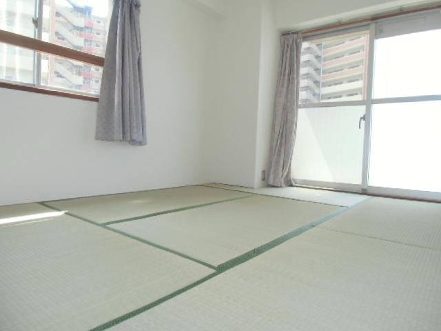 Other room space. Japanese style room