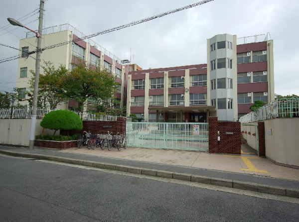 Junior high school. 430m to Osaka Municipal Sumie junior high school
