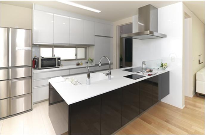 Kitchen. Island face-to-face kitchen