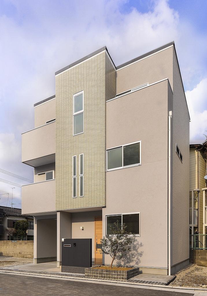 Local appearance photo. One example appearance