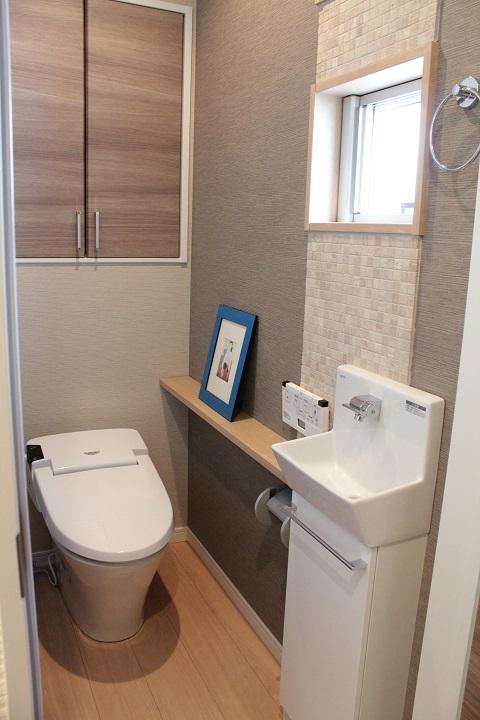 Toilet. Local (August 2013) Shooting