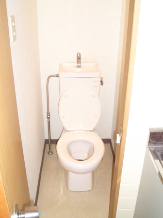 Other. Toilet