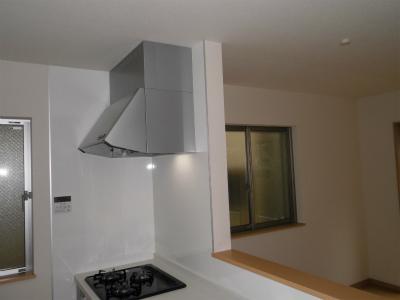 Kitchen. Indoor (13 May 2013) Shooting