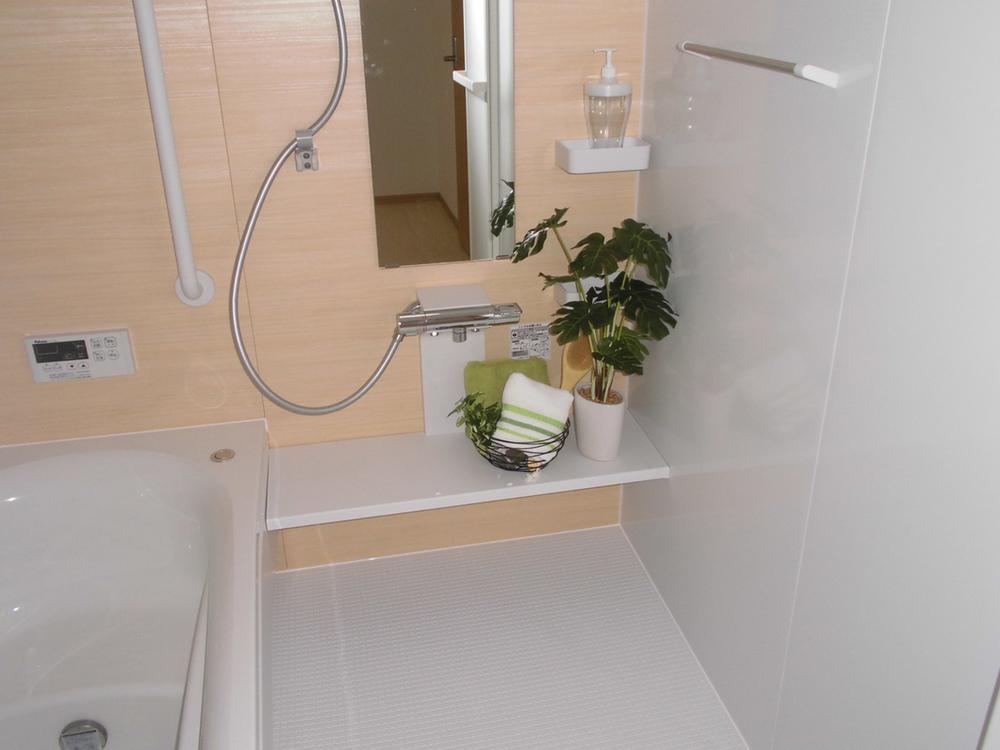 Bathroom. Indoor (10 May 2013) Shooting