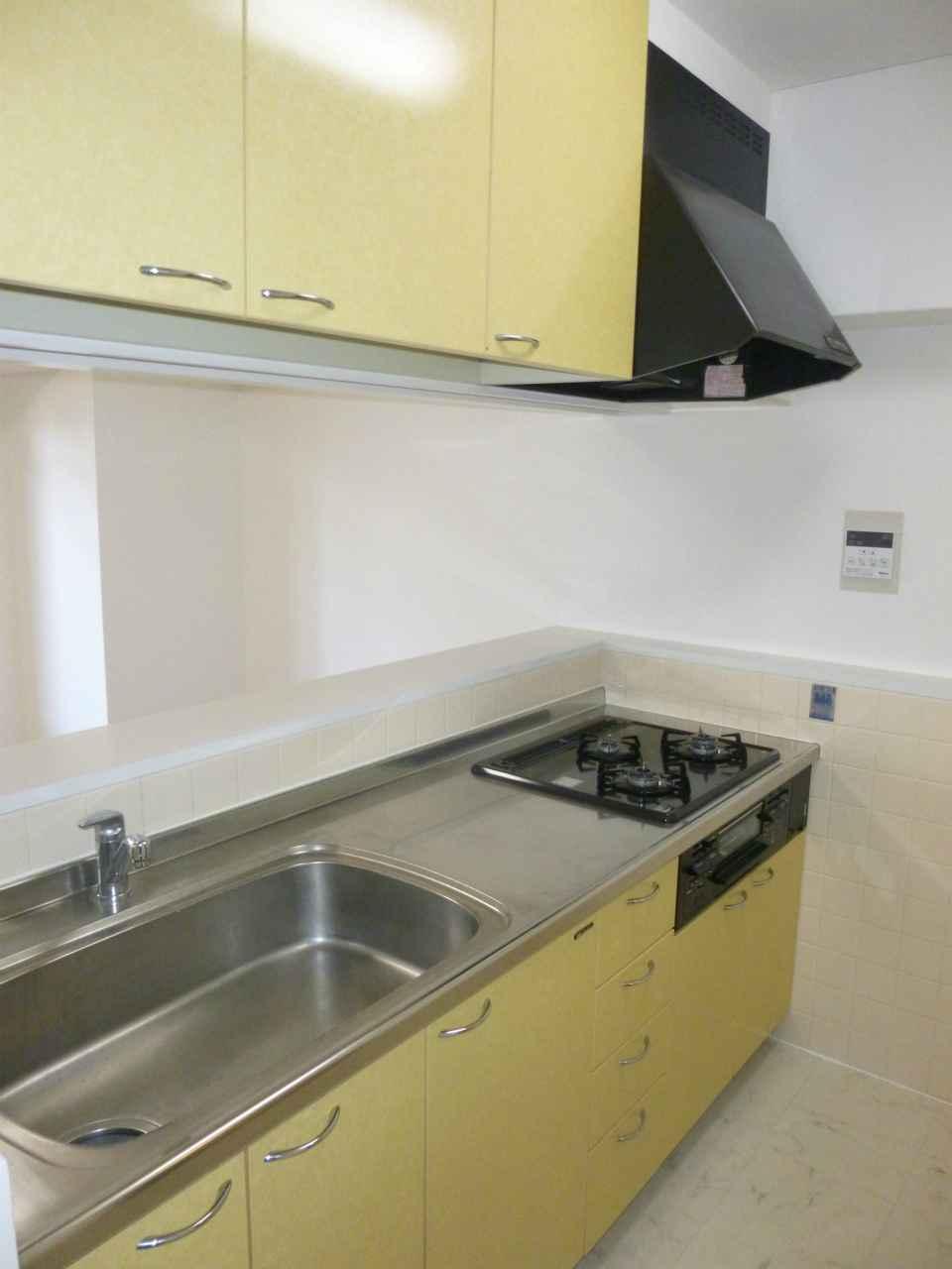 Kitchen.  ・ It has a gas stove had made  ・ Flow line is useful to the wash room from the kitchen